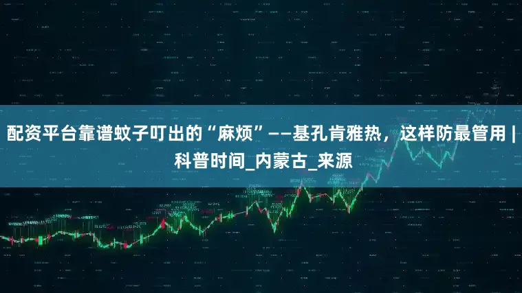 配资平台靠谱蚊子叮出的“麻烦”——基孔肯雅热，这样防最管用 | 科普时间_内蒙古_来源